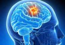 20 लाख खर्च कर बेटी को ऑस्ट्रेलिया भेजा, दिमाग की नस फटने से मौत Kaithal News