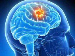 20 लाख खर्च कर बेटी को ऑस्ट्रेलिया भेजा, दिमाग की नस फटने से मौत Kaithal News