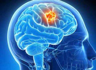 20 लाख खर्च कर बेटी को ऑस्ट्रेलिया भेजा, दिमाग की नस फटने से मौत Kaithal News