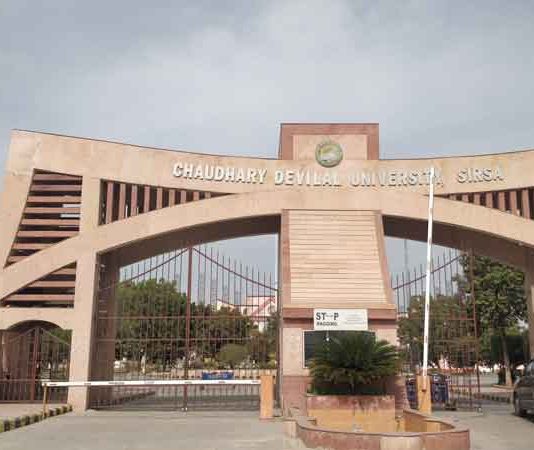 सीडीएलयू में पीएचडी के लिए इंटरव्यू व काउंसलिंग प्रक्रिया शुरू CDLU sachkahoon