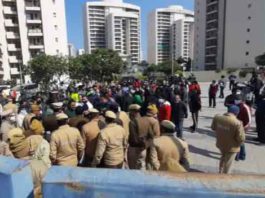 Chintels Paradiso sachkahoon