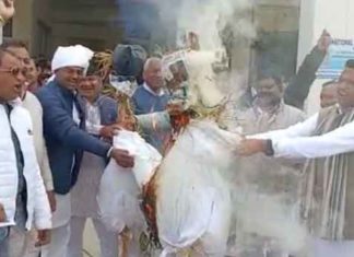 वार्षिक कैलेंडर से पूर्व सीएम बंसीलाल का फोटो हटाने पर बिफरे कांग्रेसी Congress sachkahoon