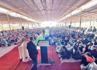 Nachhatar Singh Insan sachkahoon