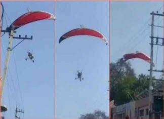 Paraglider sachkahoon
