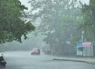 Rain sachkahoon