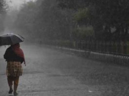 राजस्थान के पन्द्रह जिलों में जमकर हुई प्री मानसून वर्षा Himachal Weather