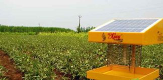 Solar power LED sachkahoon