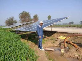 फलों की खेती से सुबेर सिंह पालवा ने लिखी कामयाबी की इबारत Suber Singh Palwa sachkahoon