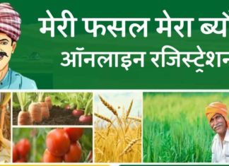 Crops On The Portal sachkahoon