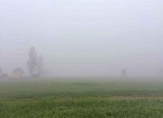 hailstorm sachkahoon