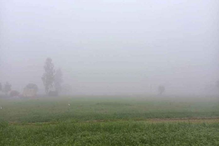 hailstorm sachkahoon