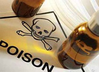 Insecticide sachkahoon