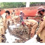 Cleaning Campaign