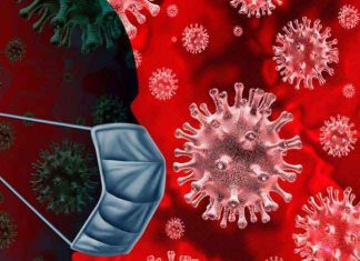 havoc of corona sachkahoon