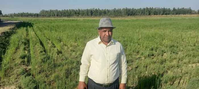 Medicinal Farming, Dr. VP Singh sachkahoon