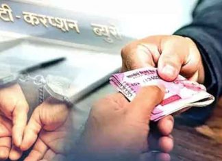 Electricity corporation's assistant sachkahoon