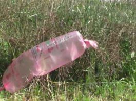 Pakistani Balloon sachkahoon