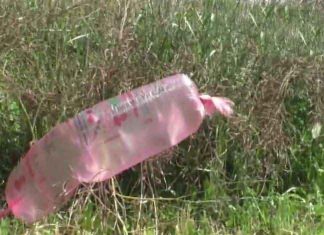 Pakistani Balloon sachkahoon