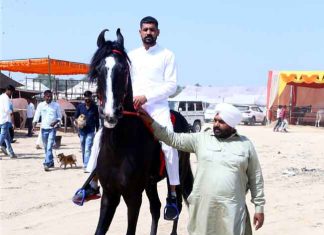Romeo sachkahoon