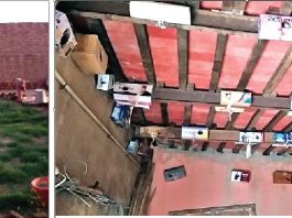 World Sparrow Day Special