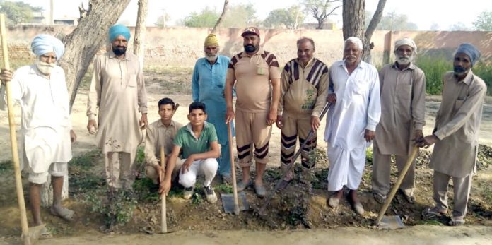 Tree Plantation