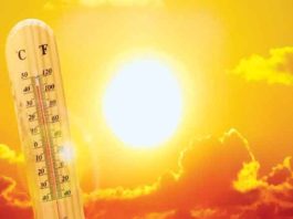 Mercury 40 sachkahoon