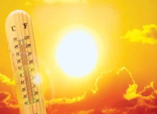 Mercury 40 sachkahoon