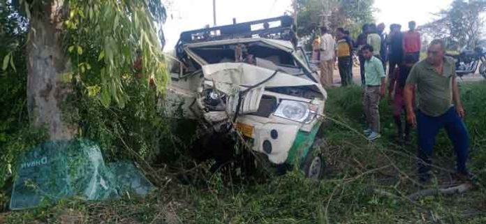 pickup collides with tree sachkahoon