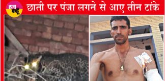 Rescue Operation of Leopard