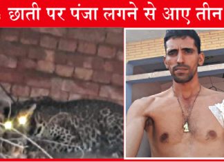 Rescue Operation of Leopard