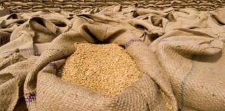 Wheat Exports sachkahoon