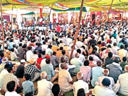 Dera Sacha Sauda Foundation Month