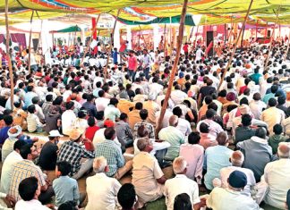 Dera Sacha Sauda Foundation Month