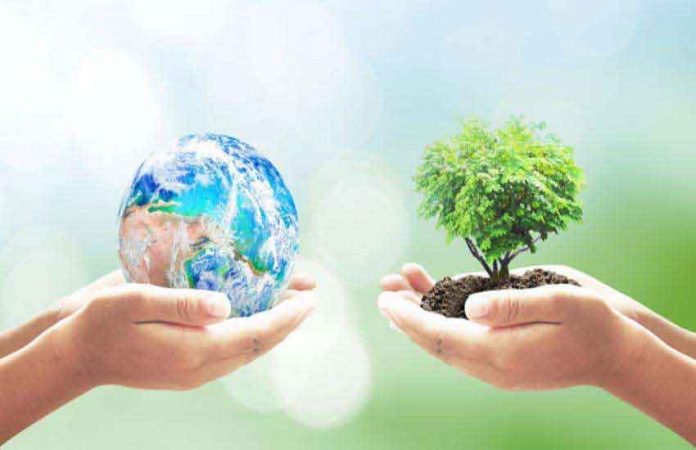 Earth and Environment sachkahoon