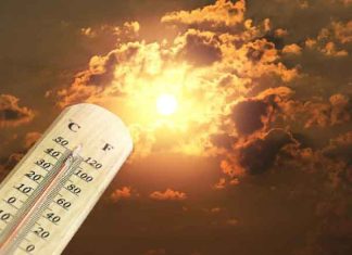 Sirsa Weather Update