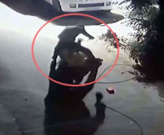 Mother's Brutal Murder sachkahoon