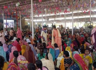 LIVE : बुधरवाली में भारी तादाद में पहुंची राजस्थान की साध-संगत