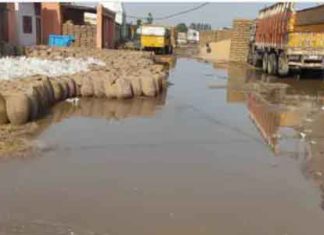 Rain in Haryana sachkahoon