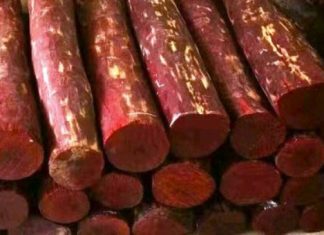 तमिलनाडु में साढ़े सात करोड़ का लाल चंदन जब्त Sandalwood