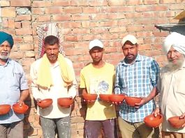 Save Birds Sachkahoon