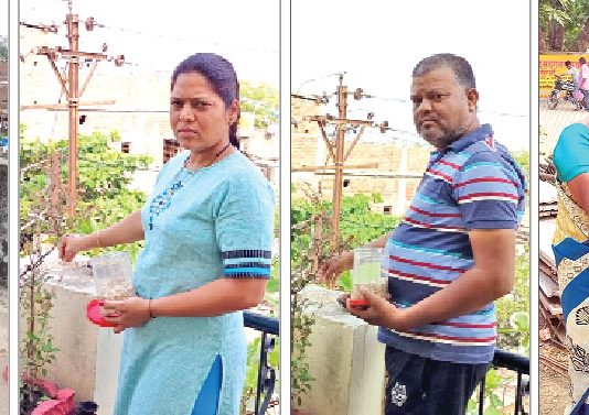 बेजुबानों को नहीं मरने देंगे भूखा-प्यासा…