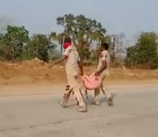 डेरा श्रद्धालुओं ने सड़क के बीच मरे पड़े कुत्ते को उठाकर दफनाया Welfare Work