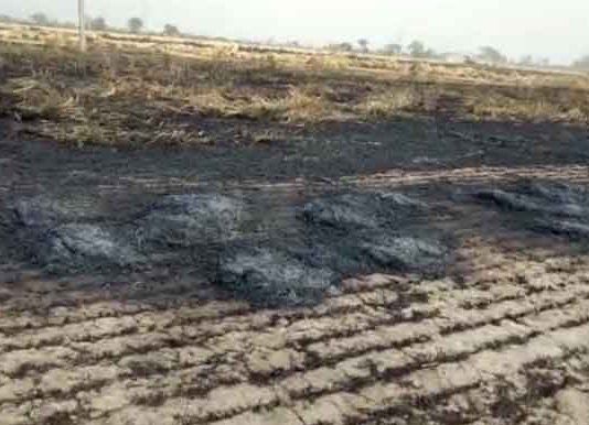 Wheat Crop Burnt Sachkahoon