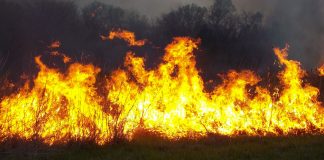 Fire in field