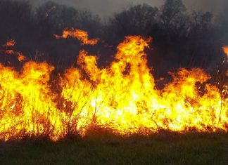 Fire in field