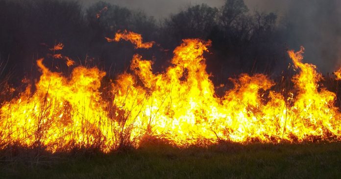Fire in field
