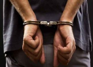 gang busted sachkahoon