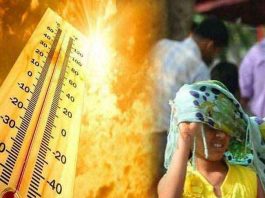 Haryana Punjab Weather Update