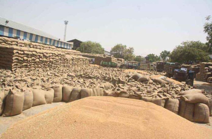 procurement of wheat sachkahoon