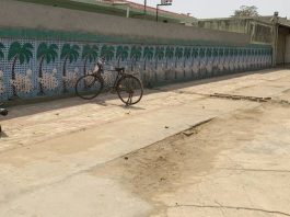 Dera Sacha Sauda Foundation Month